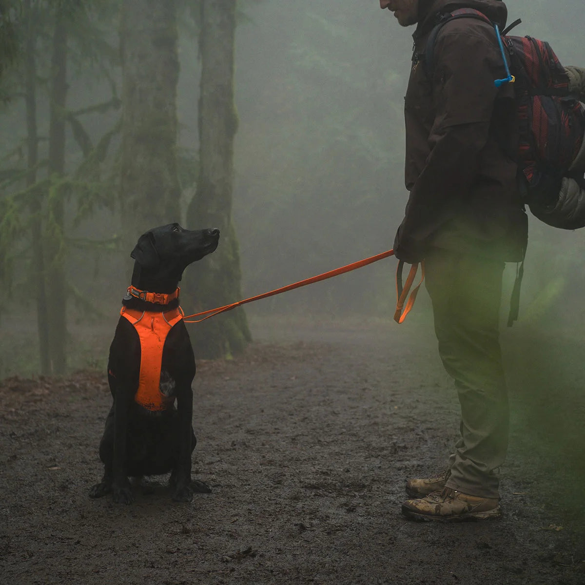 front-range-hundeleine-blaze-orange-leno-shop-4