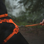 front-range-hundeleine-blaze-orange-leno-shop-5