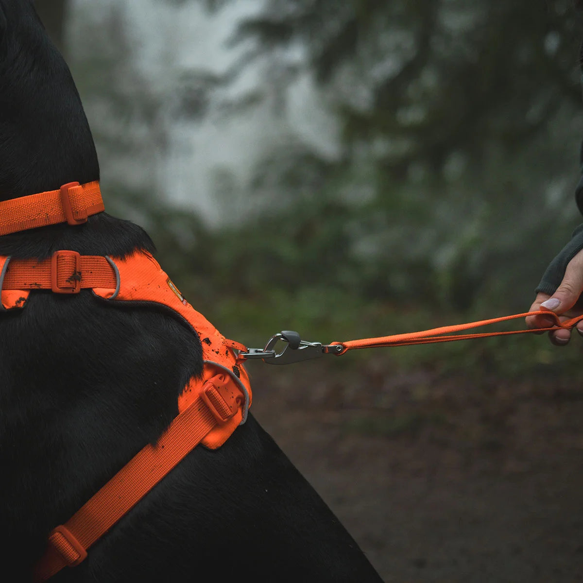 front-range-hundeleine-blaze-orange-leno-shop-5