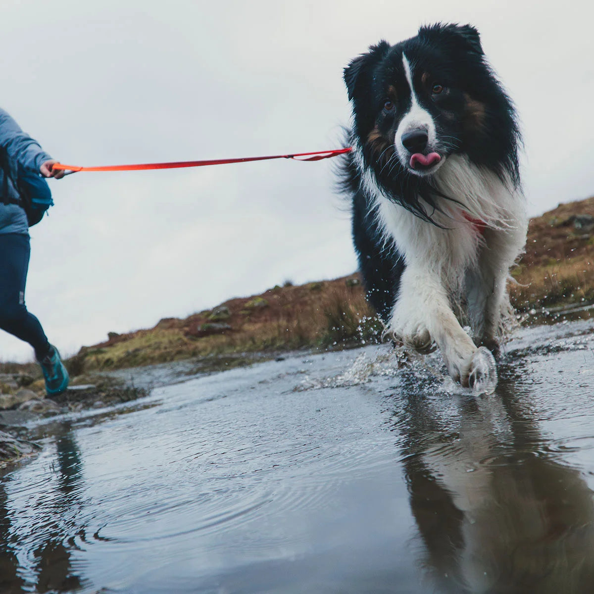 front-range-hundeleine-blaze-orange-leno-shop-6