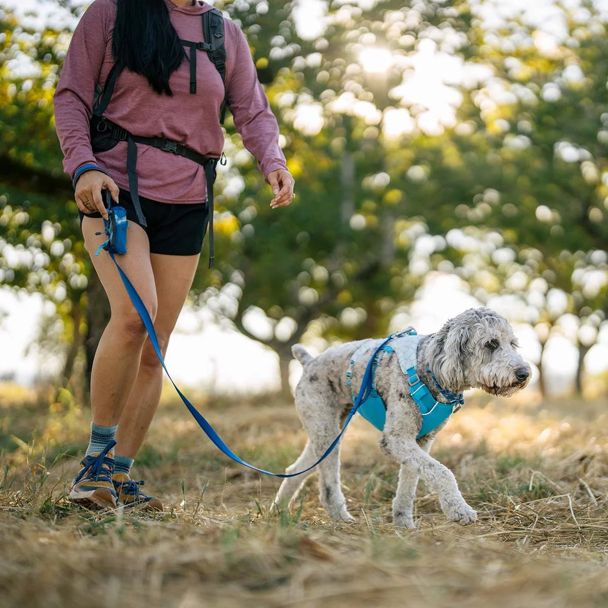 front-range-hundeleine-blue-pool-leno-shop-4