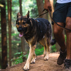 front-range-hundehalsband-moonlight-fade-leno-shop-3