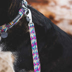 front-range-hundeleine-reef-fish-leno-shop-5