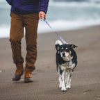 front-range-hundeleine-reef-fish-leno-shop-6