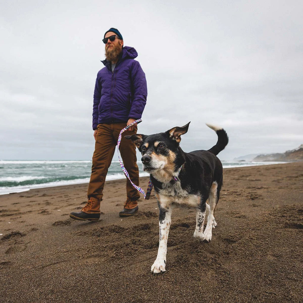 front-range-hundeleine-reef-fish-leno-shop-8