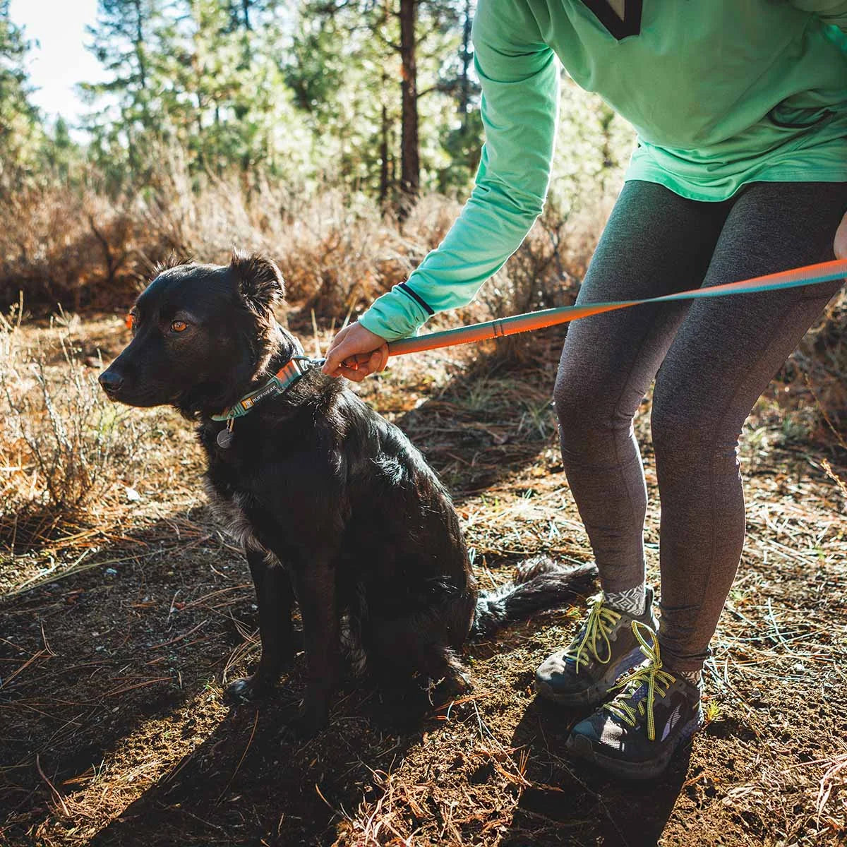 front-range-hundeleine-spring-fade-leno-shop-6