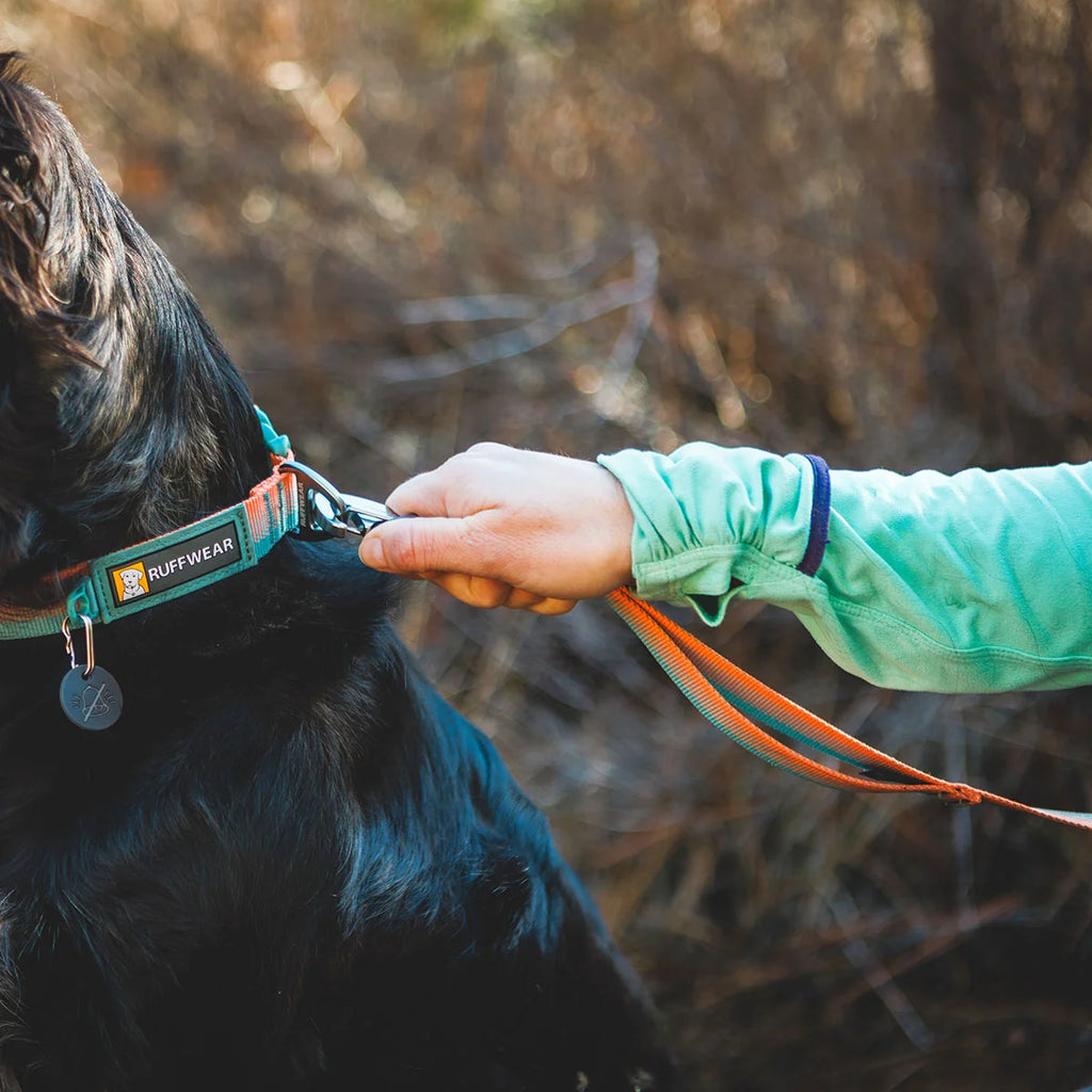front-range-hundeleine-spring-fade-leno-shop-7