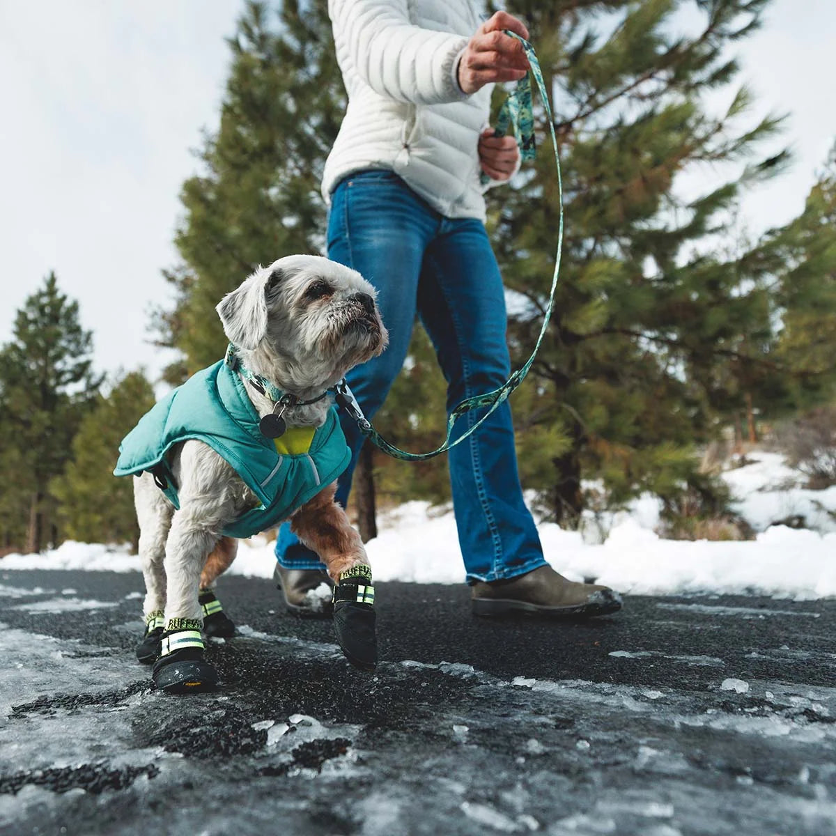 front-range-hundeleine-sweeping-sage-leno-shop-5