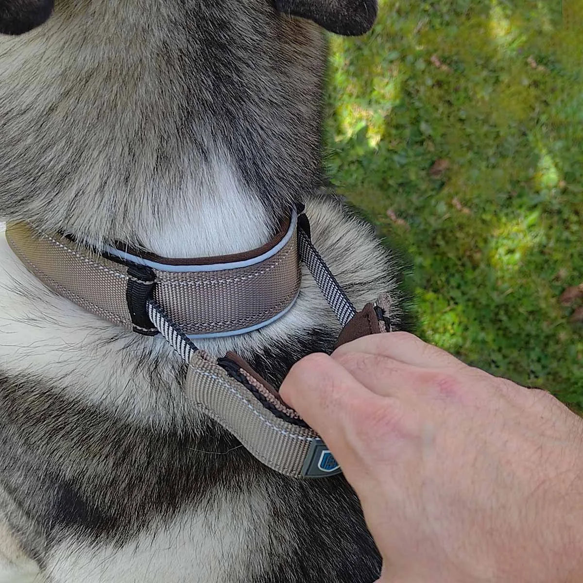 armoredtech-dog-control-halsband-leno-shop-5