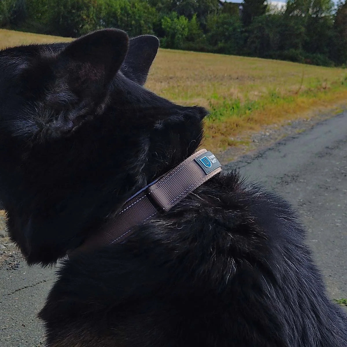 armoredtech-dog-control-halsband-leno-shop-8