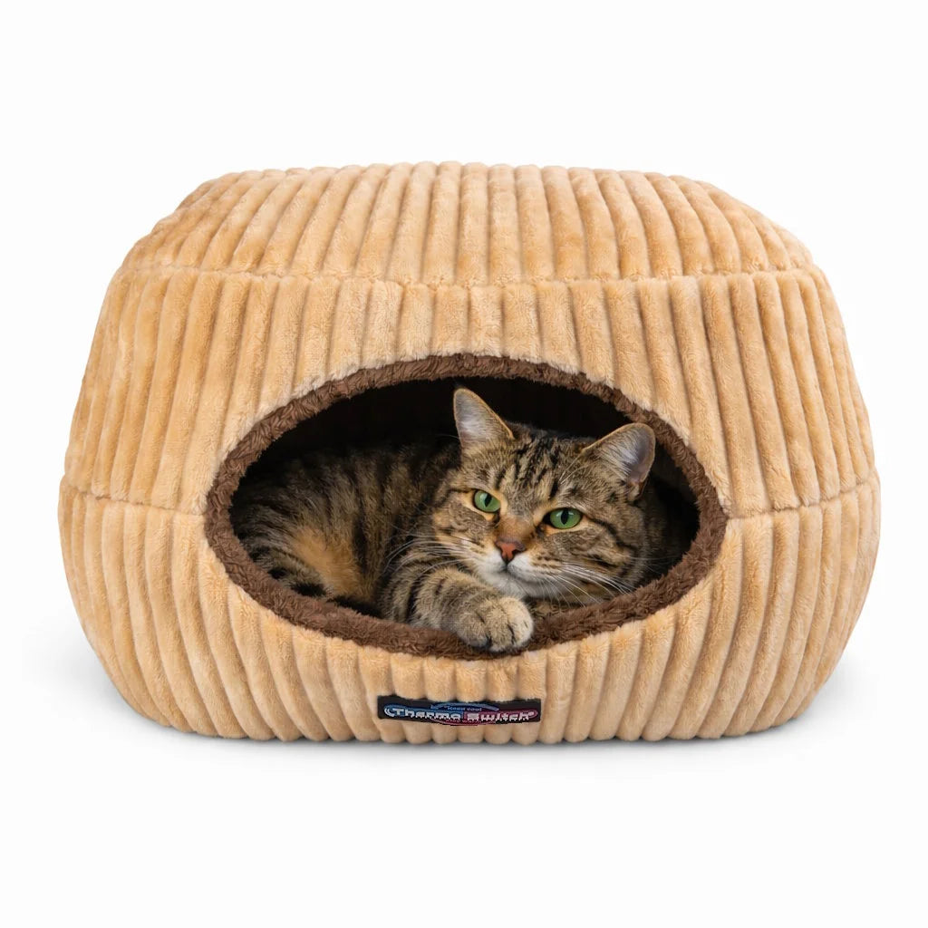 Katzenbett & Katzenhöhle Evia 2 in 1 – kuscheliger Schlafplatz, orthopädisches Katzenbett mit Memoryschaum
