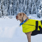Axaeco Zugstopp Halsband – Verstellbares Kontrollhalsband für starke Hunde