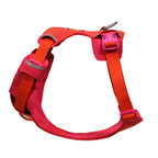 Ruffwear Front Range® Flex Hundegeschirr