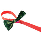 Ruffwear Front Range™ Flex Leine