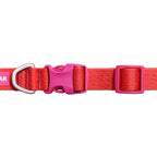 Ruffwear Front Range™ Flex Hundehalsband