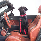 Krótka, regulowana smycz dla psa 120 cm z adapterem samochodowym – idealna do miasta i na co dzień