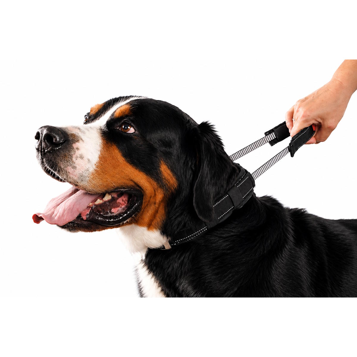 Dog collar with handle - PatentoPet Sport elastic collar