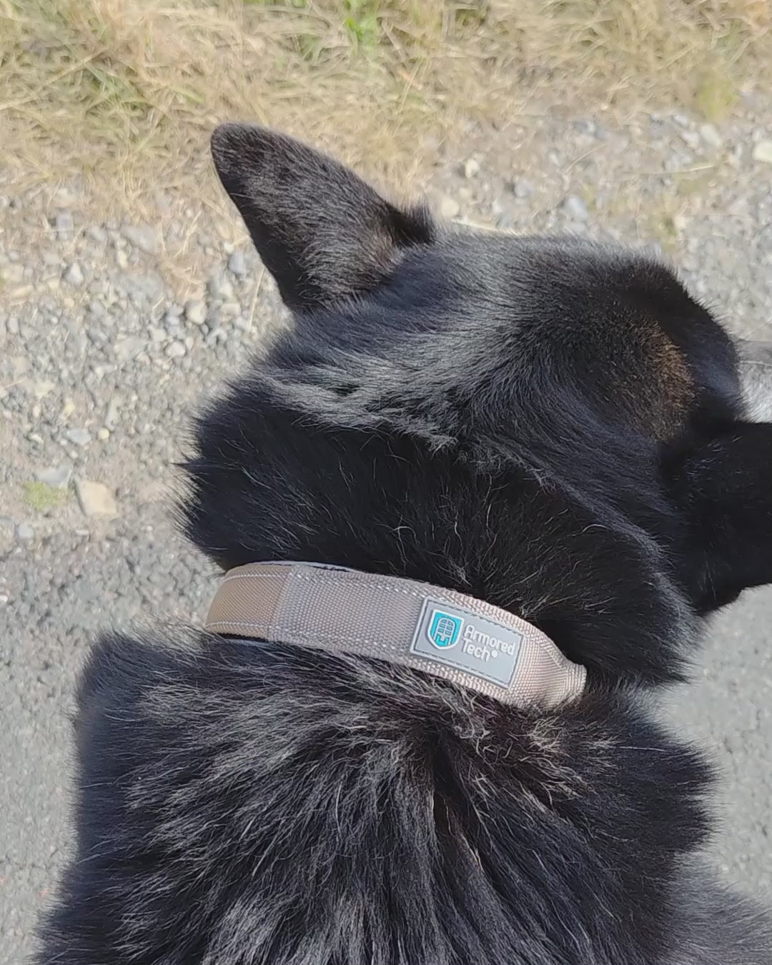 Hundehalsband mit Griff - ArmoredTech Dog Control Halsband